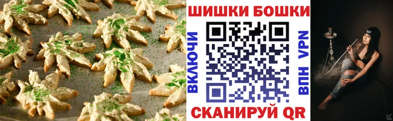 Купить закладки  Электросталь  Cannafood конопля 