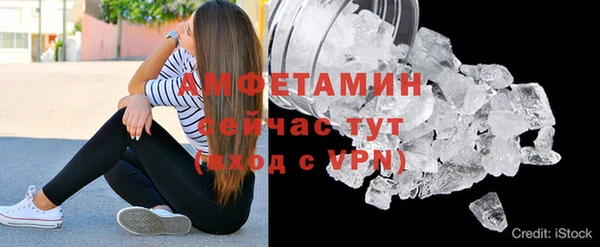 крисы Козельск