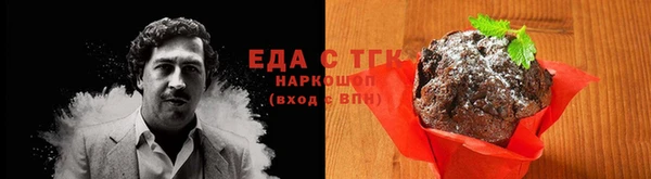 крисы Козельск