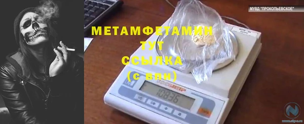 крисы Козельск