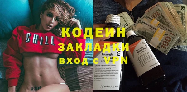 крисы Козельск