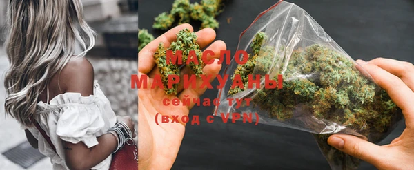 крисы Козельск