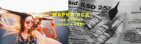 крисы Козельск