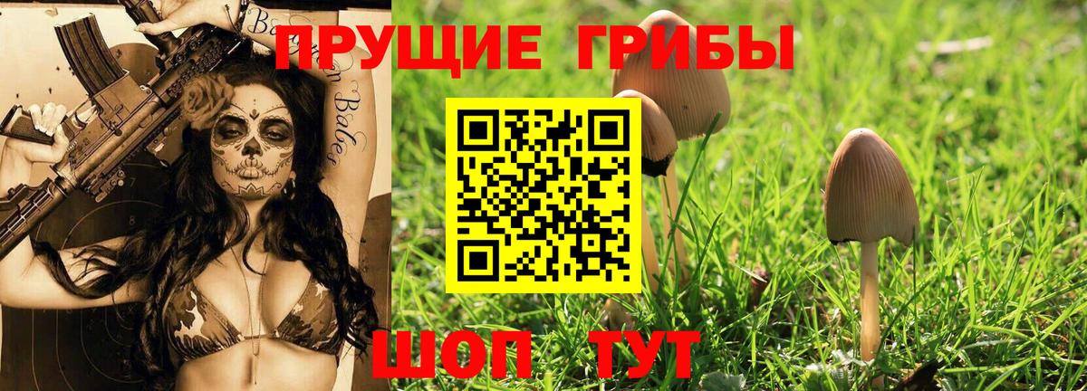 Галлюциногенные грибы Электросталь