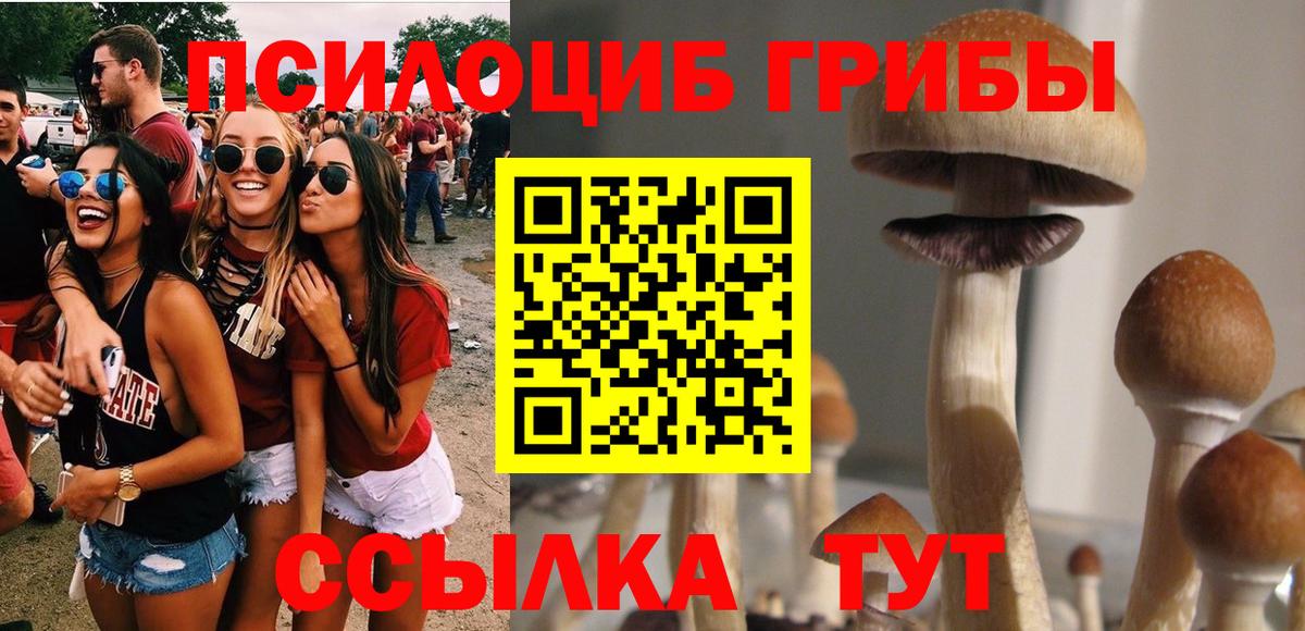 Галлюциногенные грибы Psilocybe  Псилоцибиновые грибы Cubensis  сколько стоит  Вход с VPN  Электросталь 