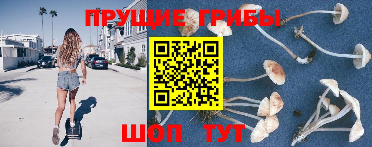 Галлюциногенные грибы Psilocybe Электросталь