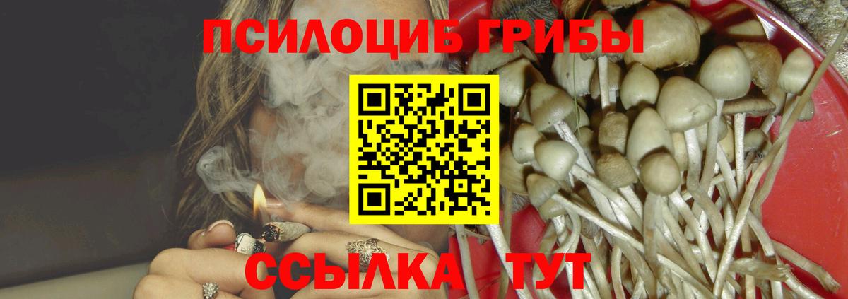 Псилоцибиновые грибы Cubensis  Электросталь 