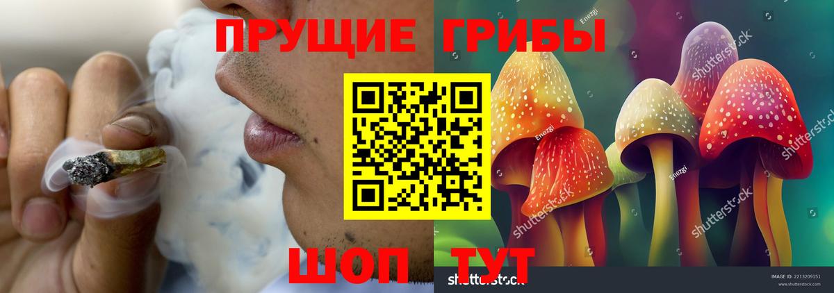 Галлюциногенные грибы Cubensis Электросталь